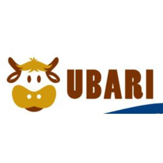 {{brizy_dc_image_alt imageSrc=